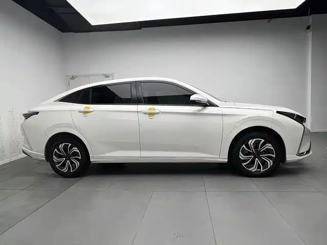 Фото 7 - Dongfeng Aeolus Yixuan
