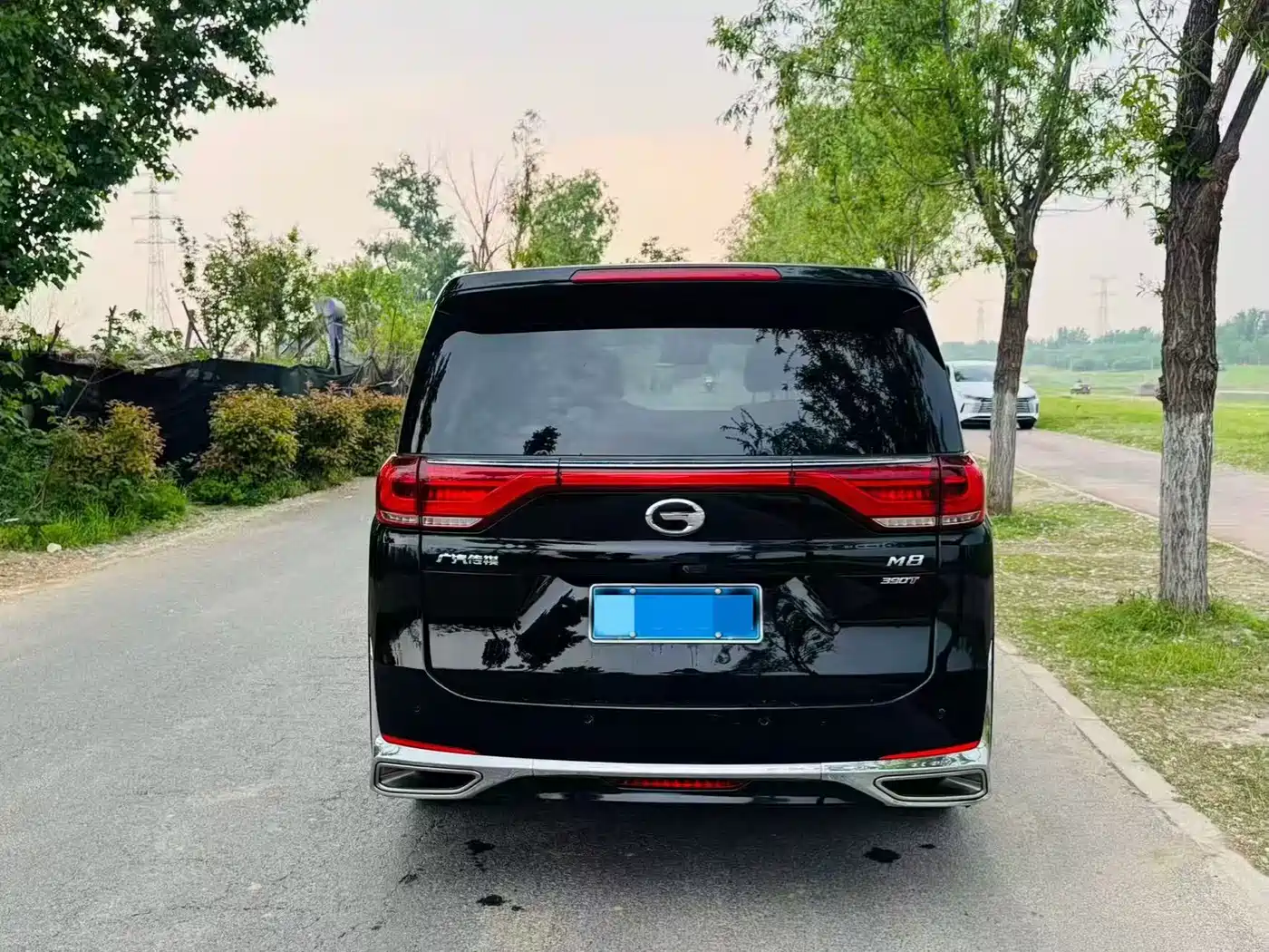 GAC Trumpchi Trumpchi M8 2021 Master Series 390T Prestige Edition фото 9