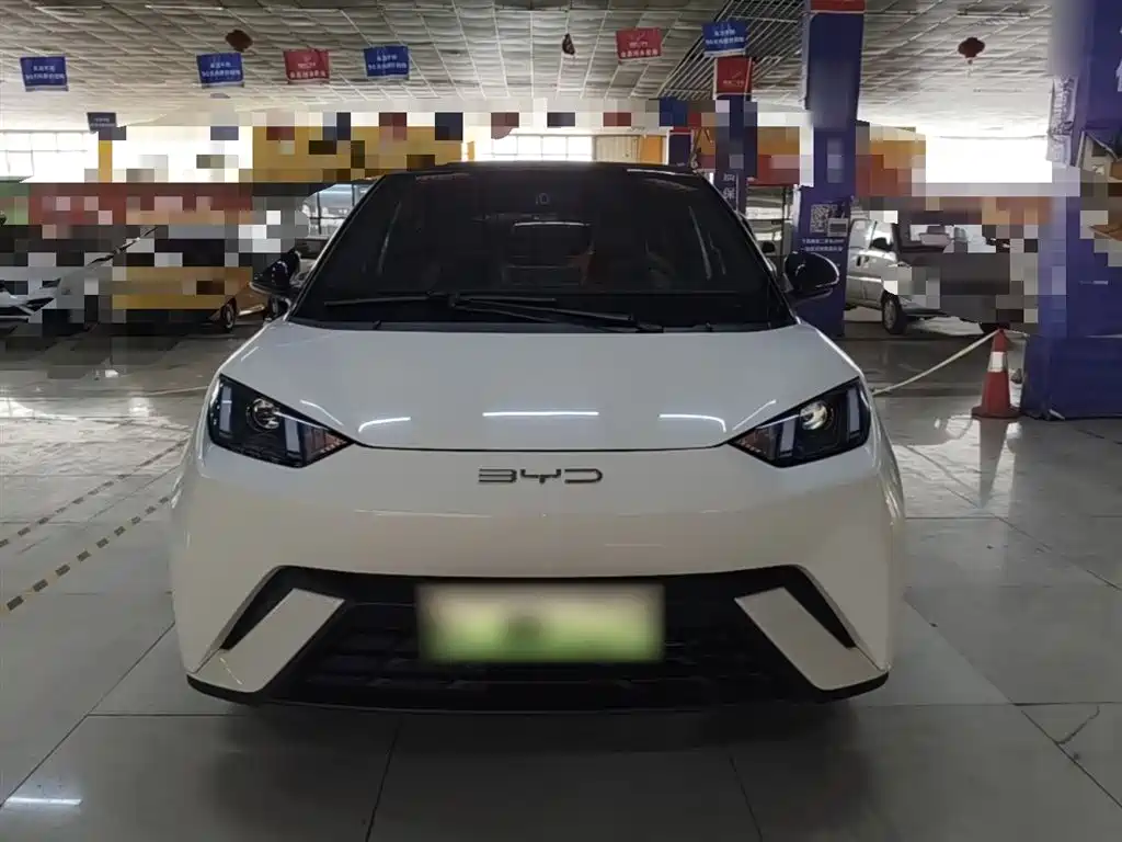 BYD Seagull 2023 Vitality Edition фото 3