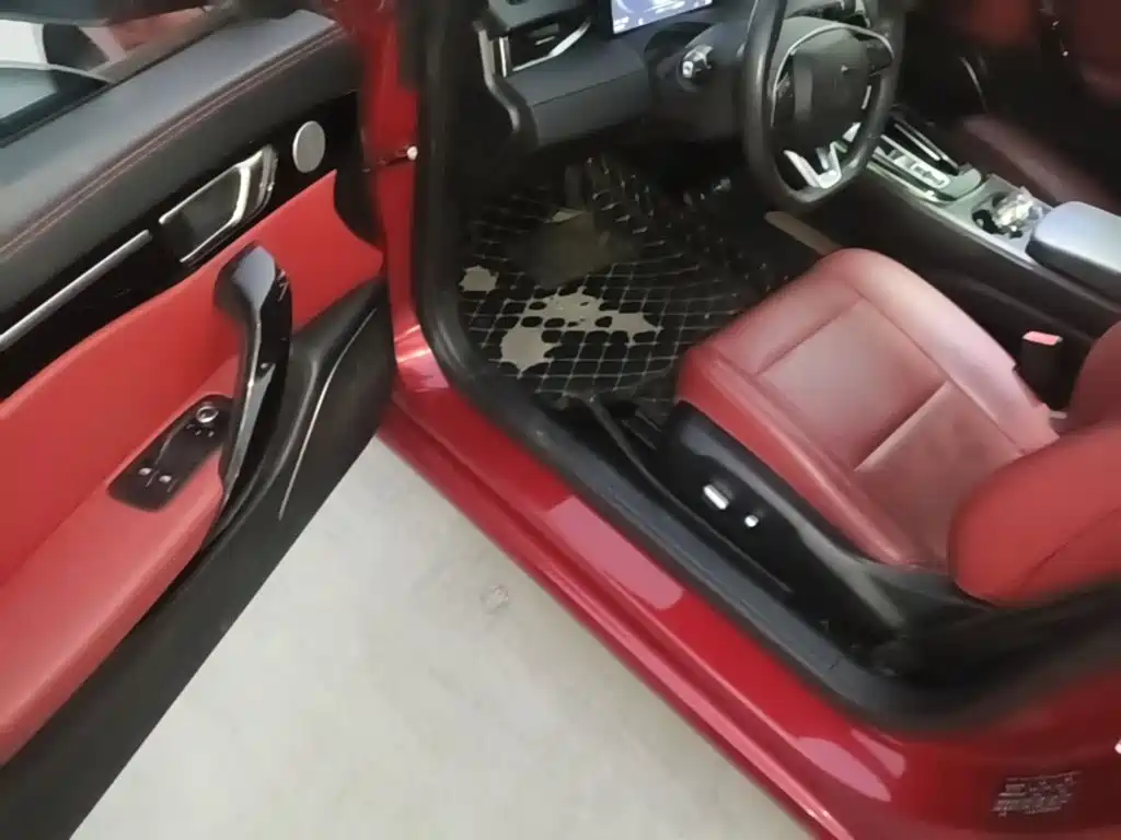 Leapmotor S01 2020 2019 380 Pro