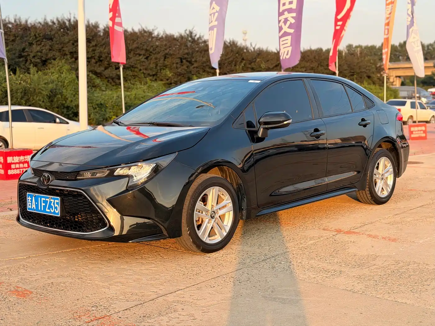 Toyota Levin