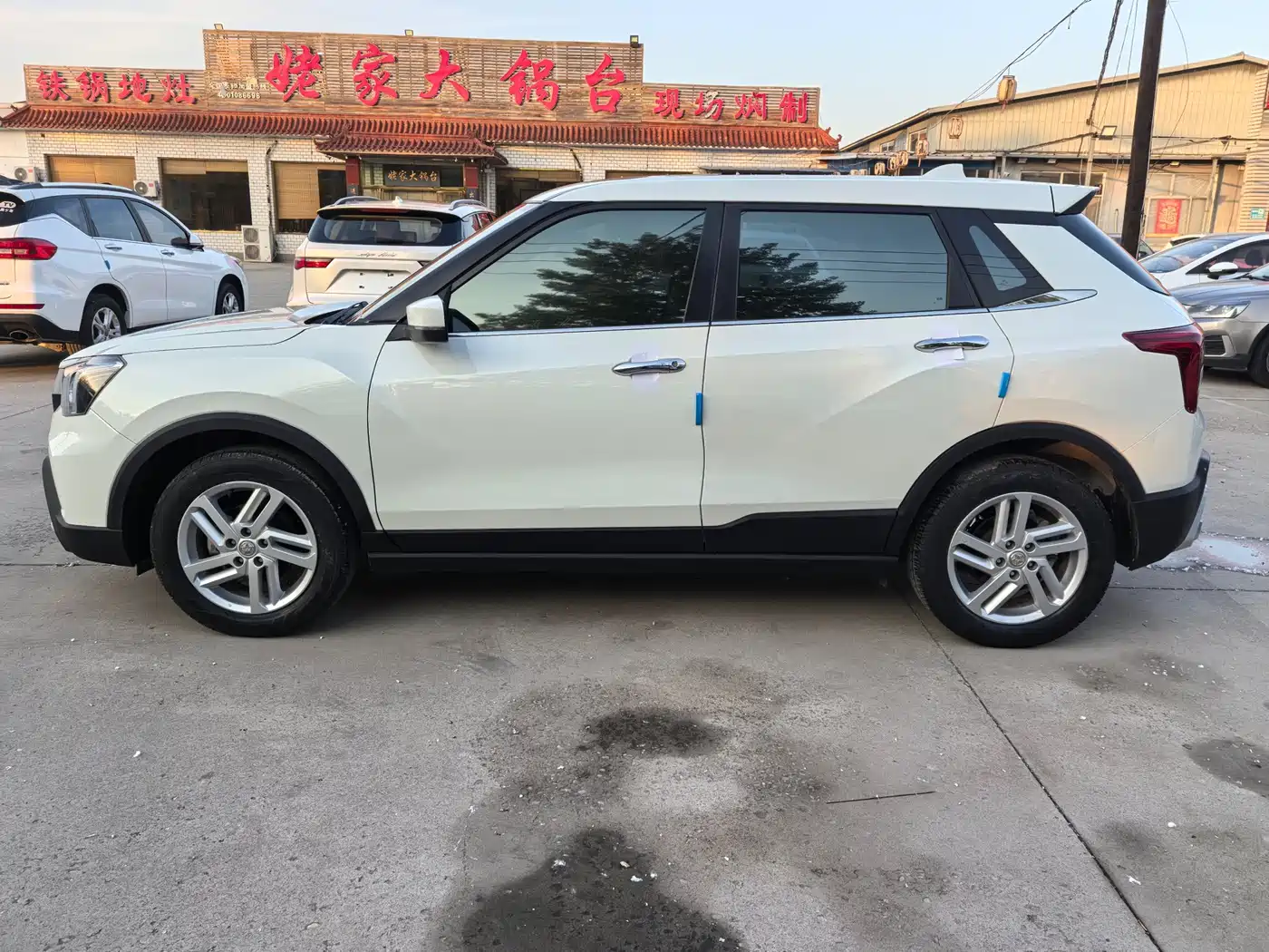 2021 Venucia T60