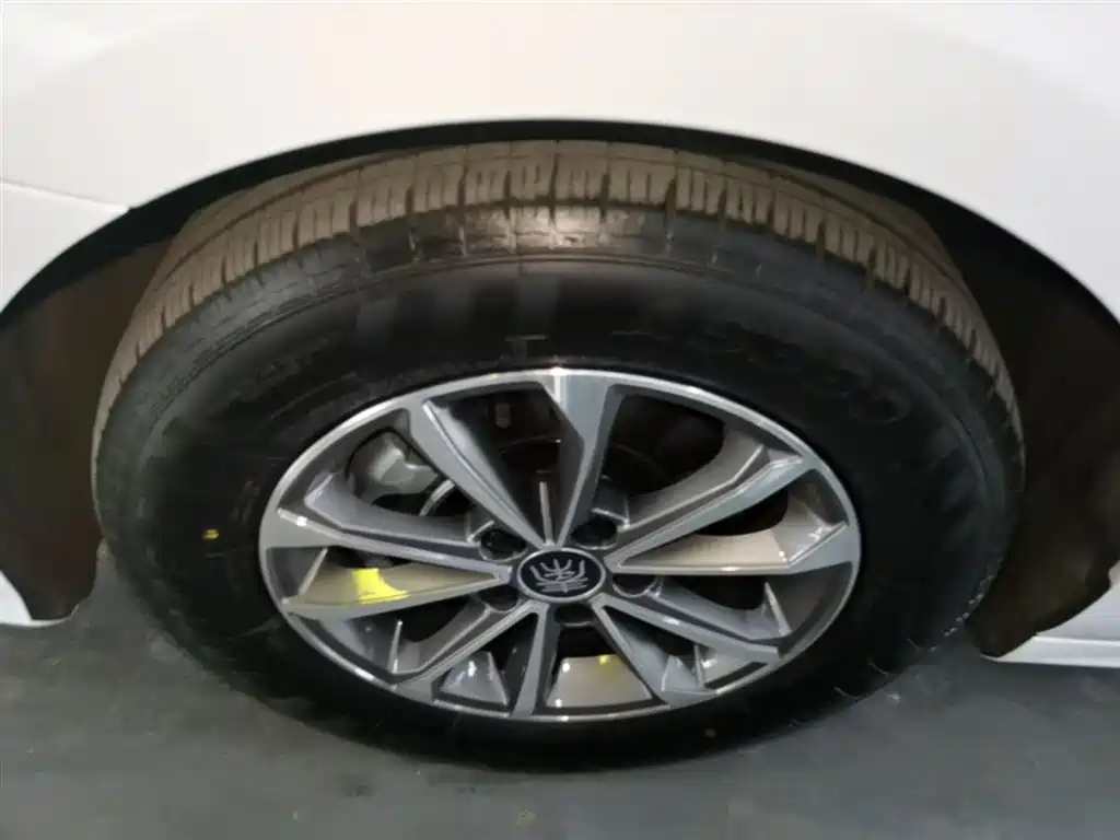 BYD Qin PLUS 2024 Glory Edition DM-i 55KM Leading фото 23