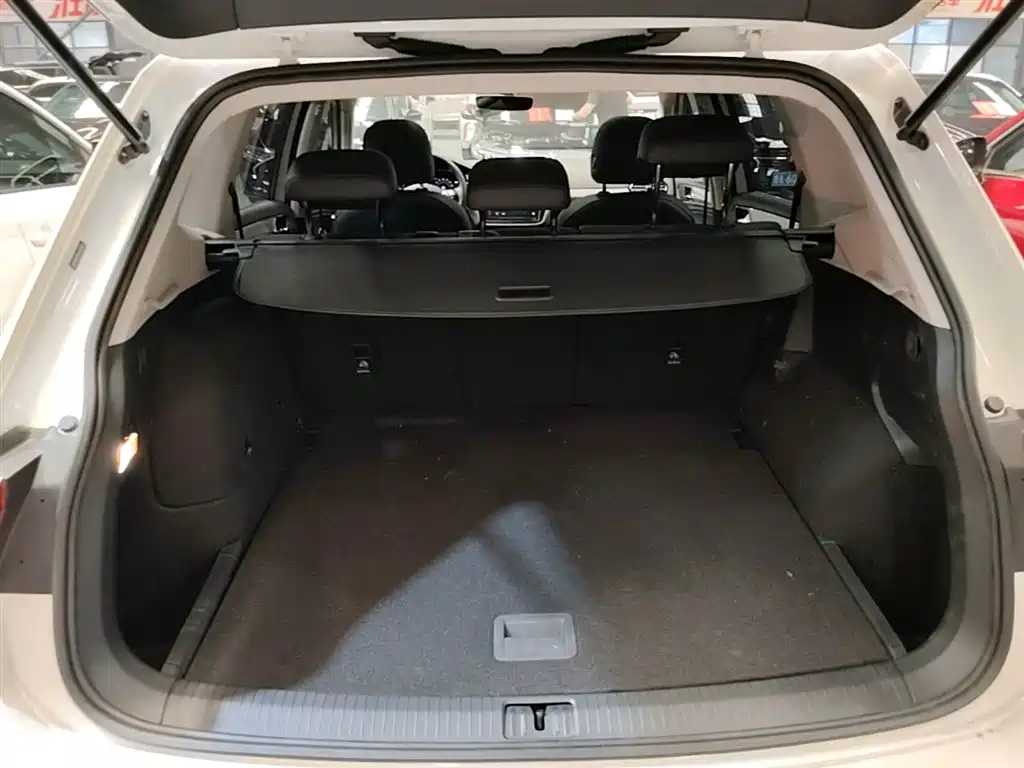 VOLKSWAGEN TIGUAN L NEW ENERGY