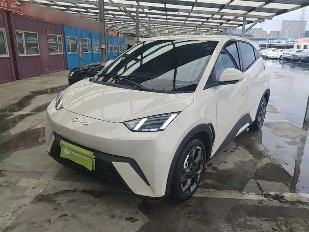 BYD Seagull 2025 305km Freedom