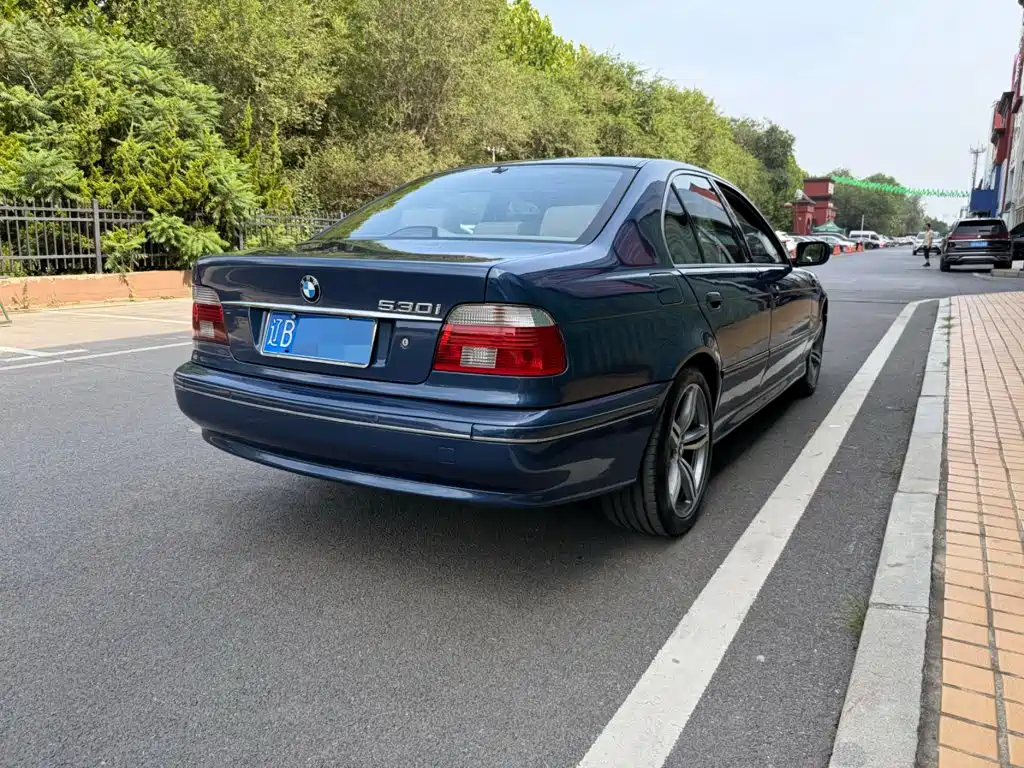 BMW 5 Series (Import) 2004