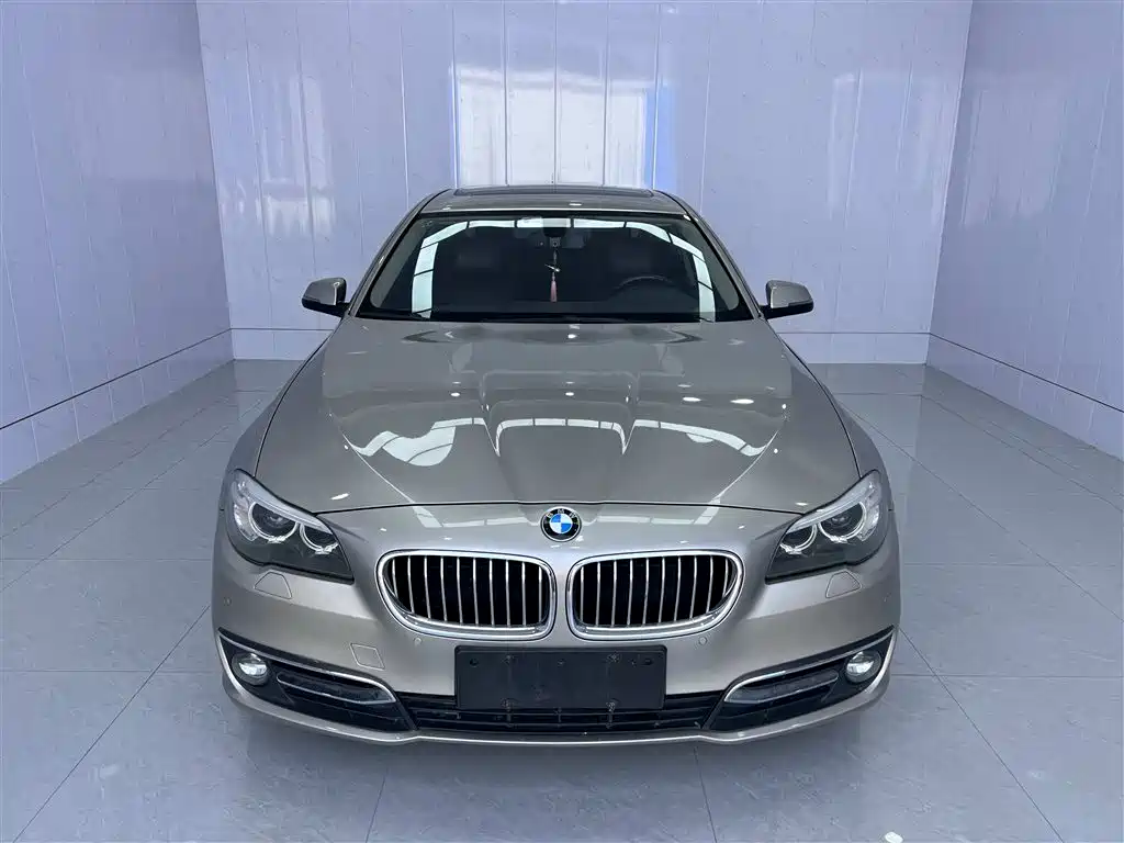BMW 5 Series 2014 525Li Luxury Design Package фото 2