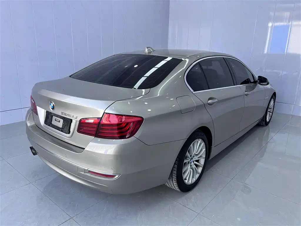 BMW 5 Series 2014 525Li Luxury Design Package фото 5