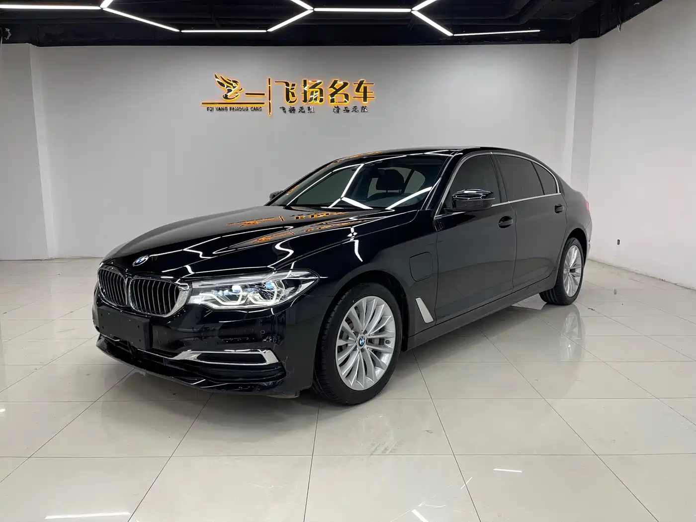 BMW 5 SERIES NEW ENERGY