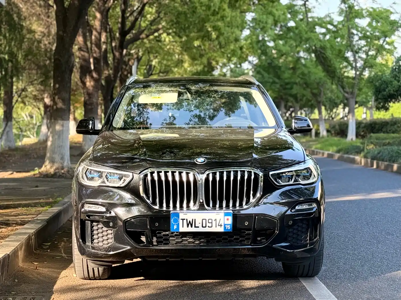 BMW X5 (Import) 2020 xDrive40i M Sport Package фото 2