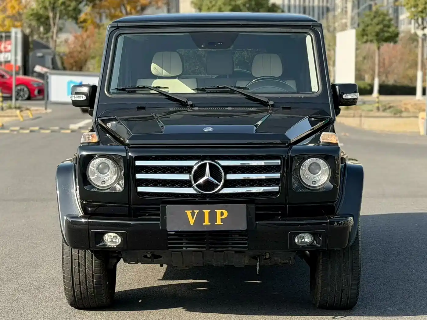 Mercedes-Benz G-Class 2010 G 500 фото 2