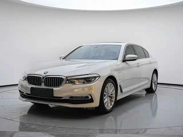 BMW 5 Series New Energy 2019 530Le Luxury Package — фото 1