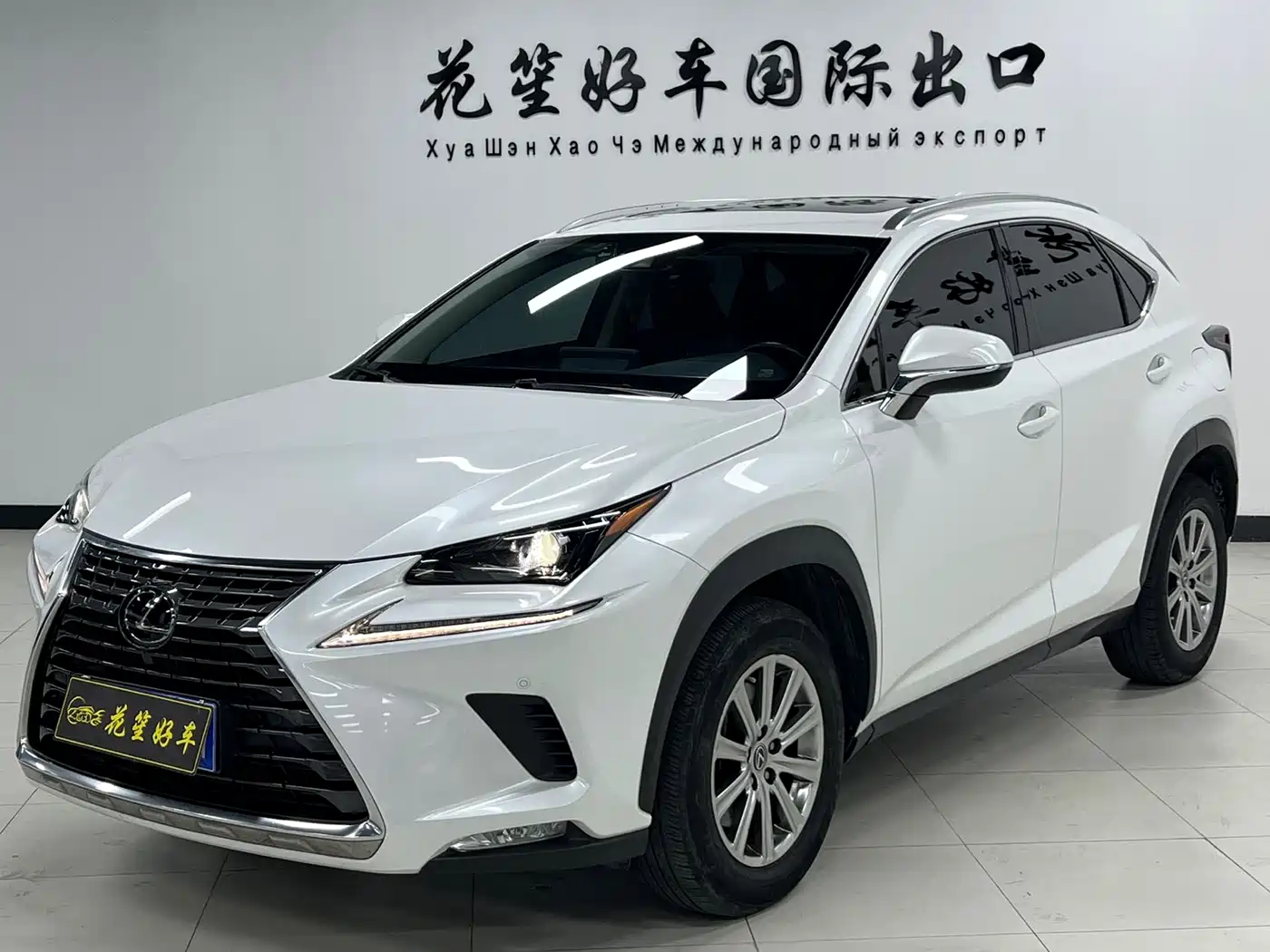 LEXUS NX