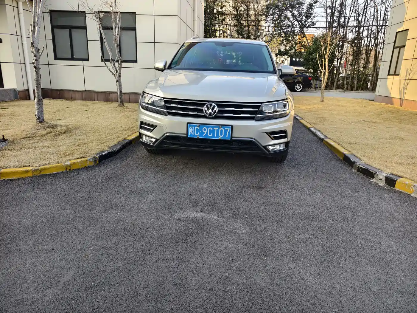 Volkswagen Tiguan L 2019 330TSI Automatic 2WD Smart Luxury Edition China VI фото 2