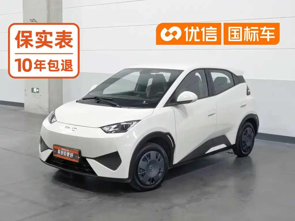 BYD Seagull 2026 2025 Smart Drive Edition 305km Vitality Version