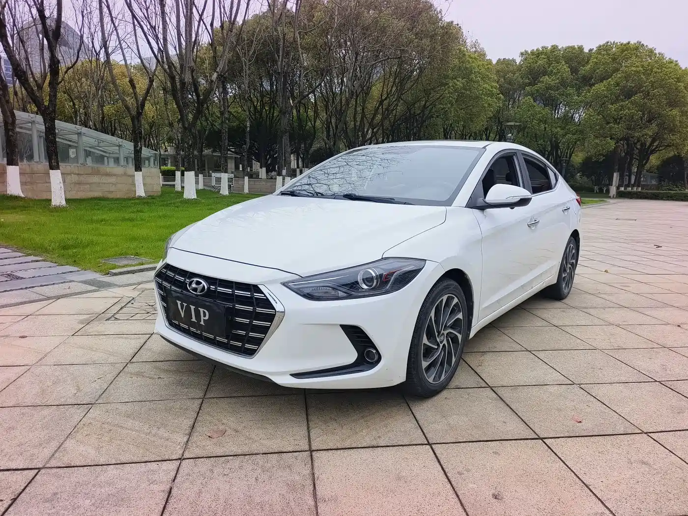 HYUNDAI LEAD
