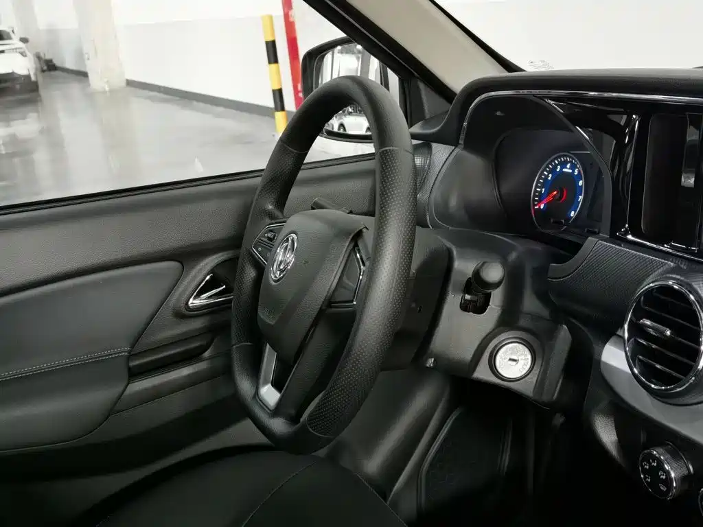 Dongfeng Ruiqi 2022 2021 2.4L Gasoline 2WD Well-off Edition Base Model 2TZD