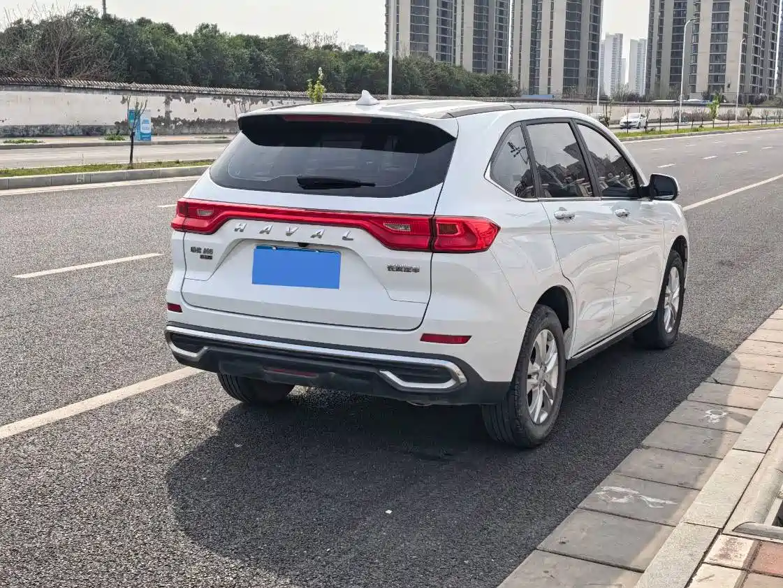 HAVAL M6