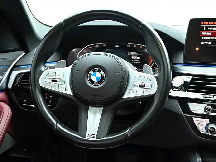 BMW 5 Series 2023 530Li Leading M Sport Package фото 19