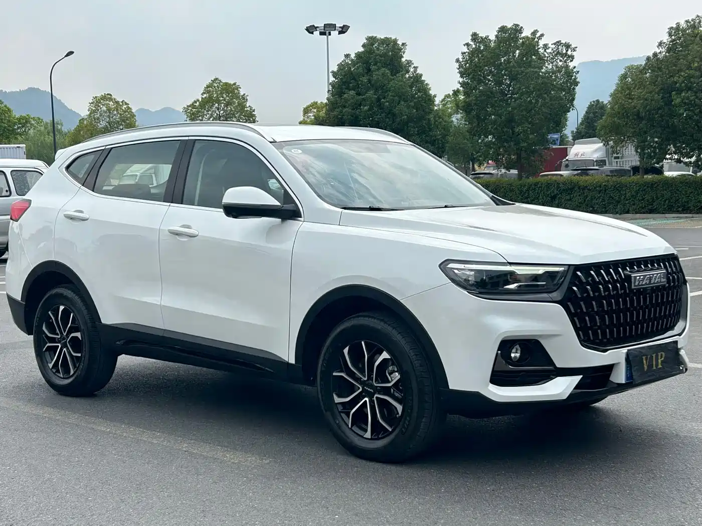 Haval H6 2025 2025 1.5T National Trend Champion Edition