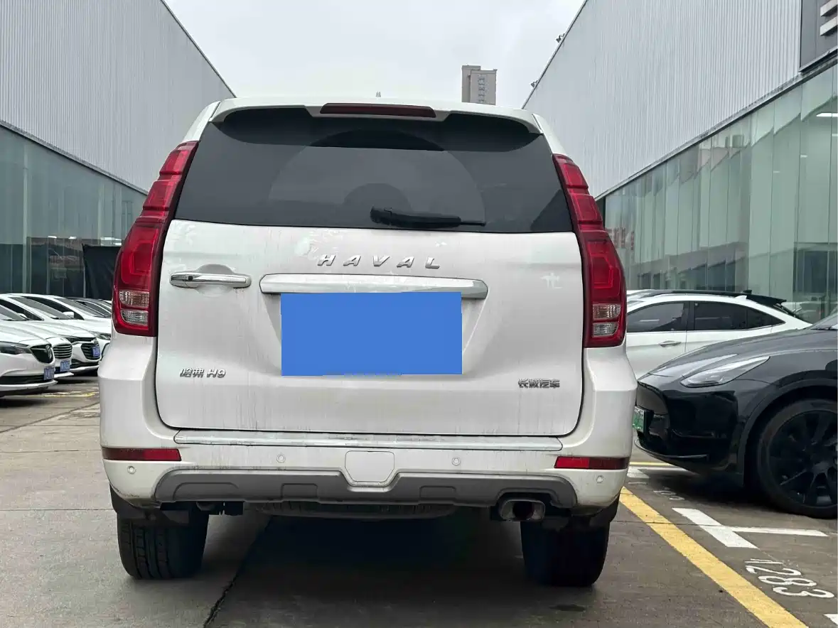 Haval H9 2020 2.0T Gasoline 4WD Premium 5-Seater фото 8