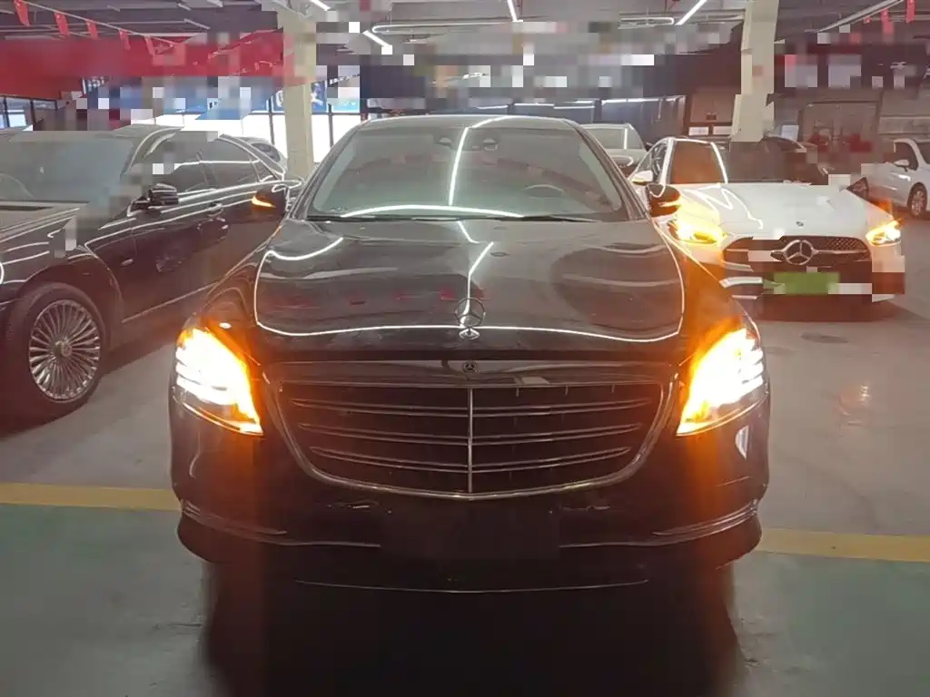 Mercedes-Benz S-Class 2020 S 350 L Business Edition Collector's Version фото 3