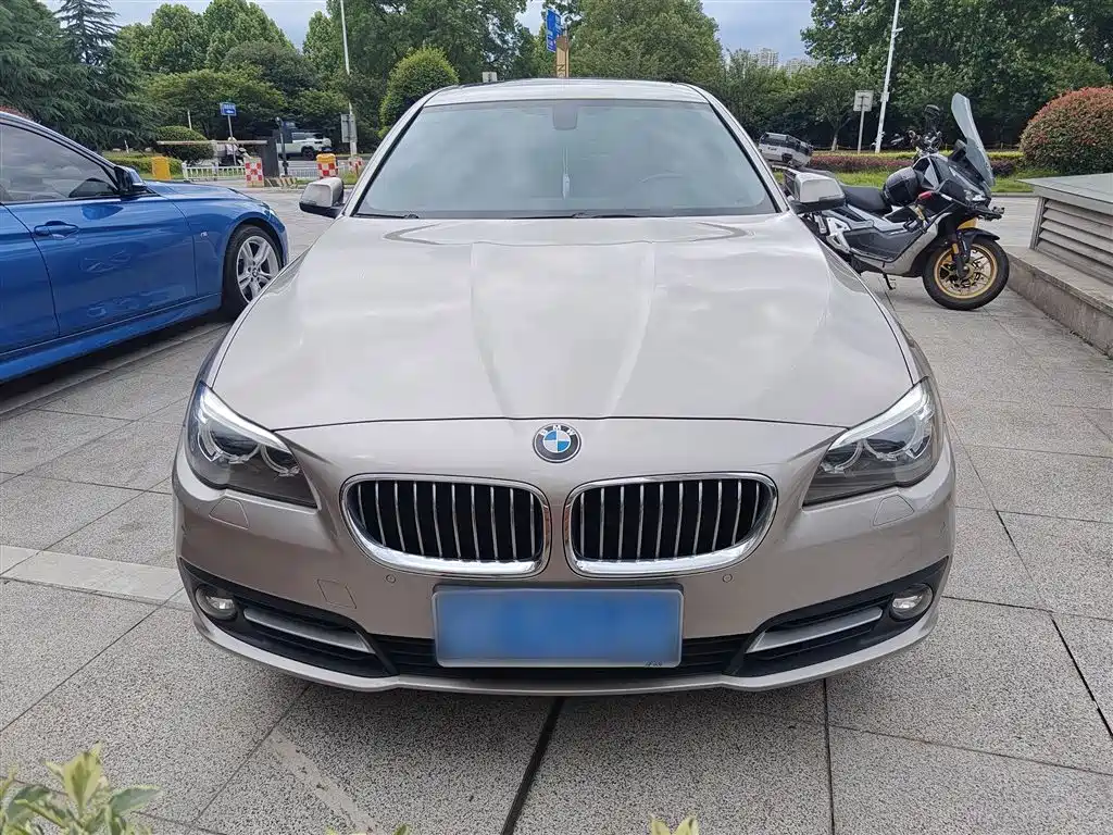 BMW 5 Series 2014 520Li Elegance фото 5