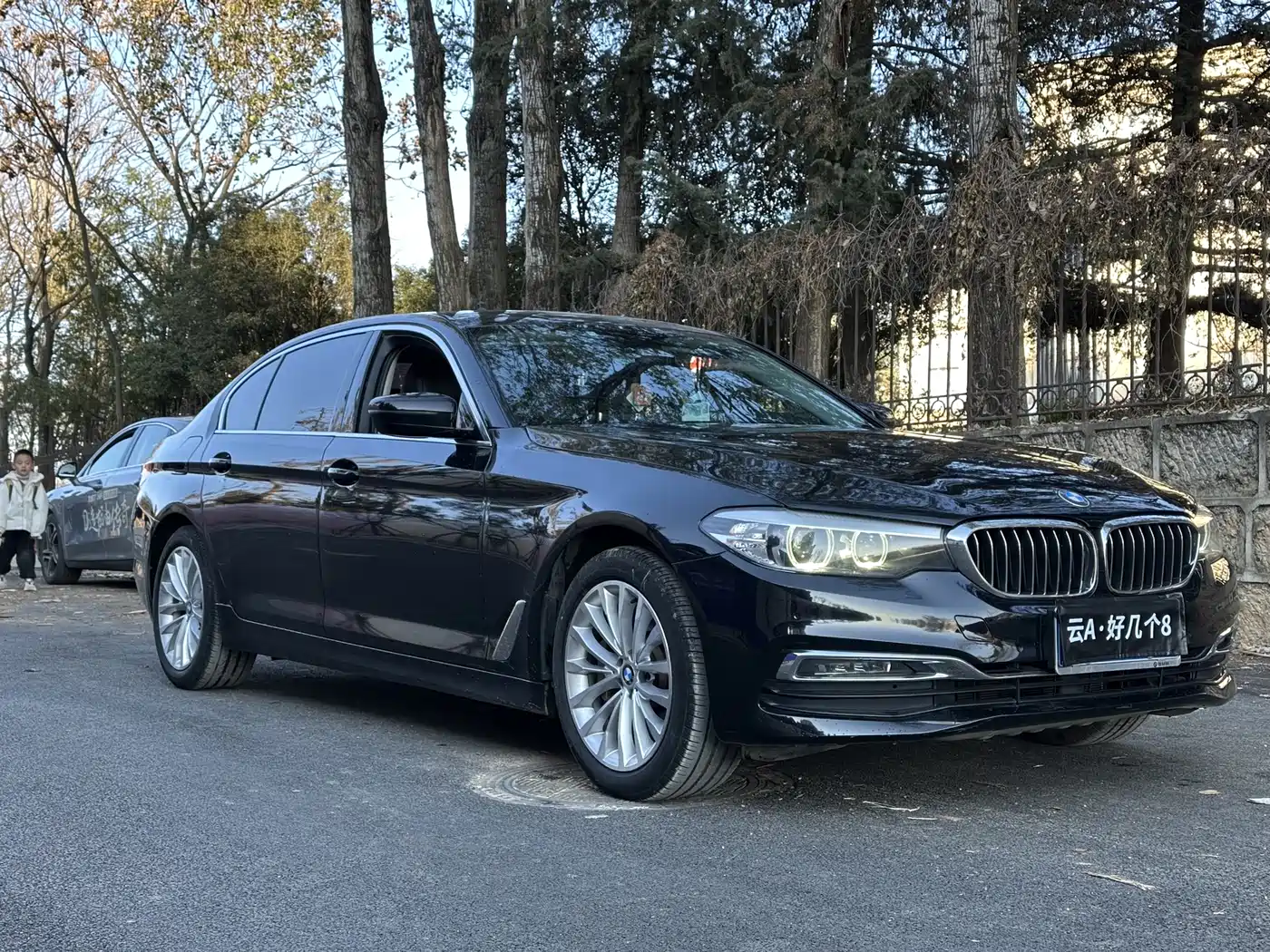 BMW 5 Series 2019 530Li Leading Luxury Package фото 3