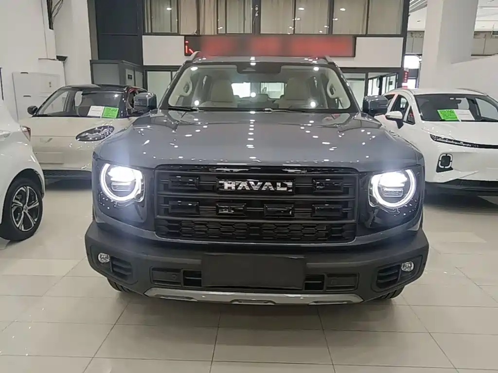 Фото 3 - Haval Dargo