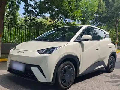 BYD Seagull