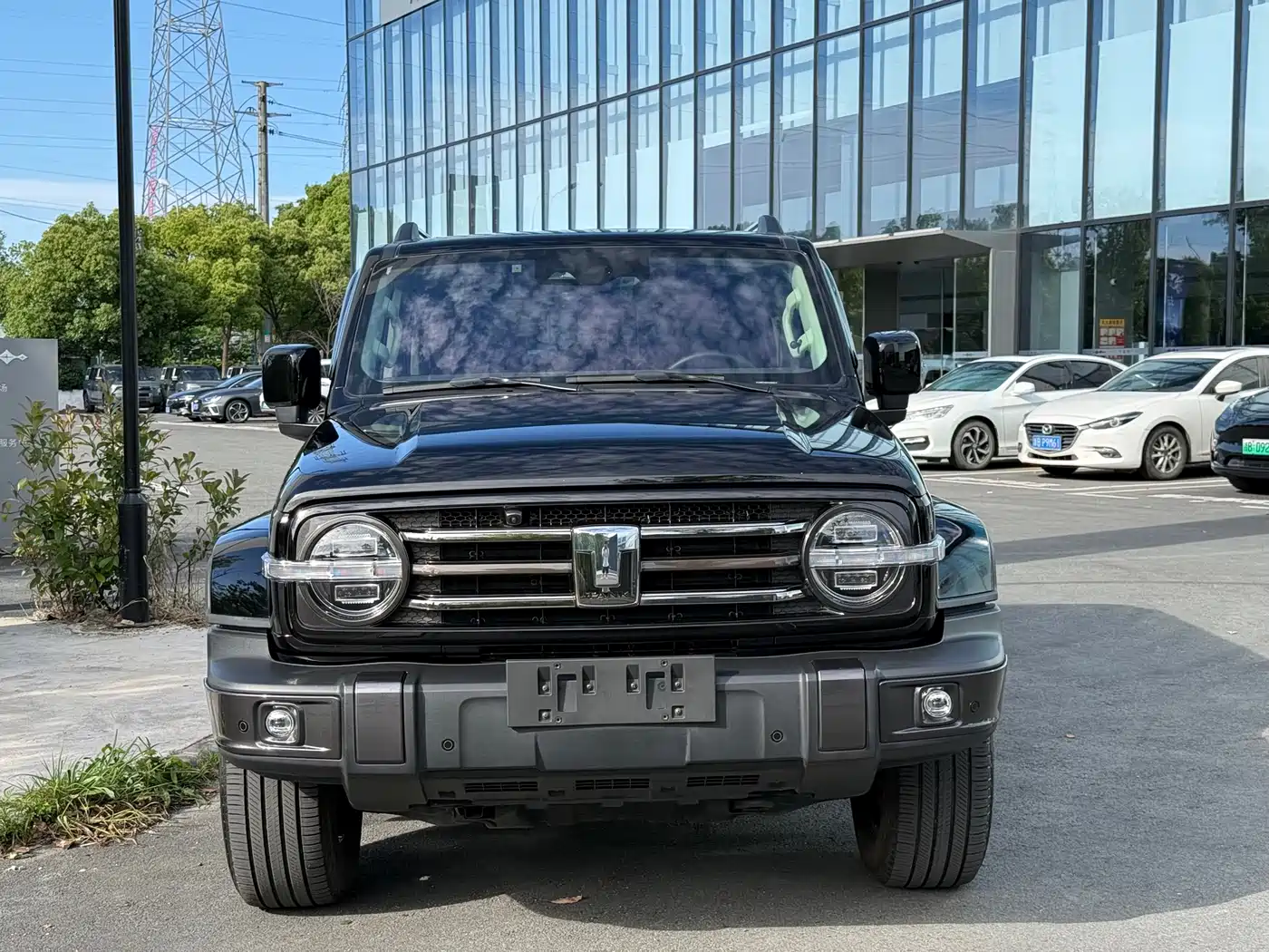 Tank 300 2023 Off-Road Edition 2.0T Conqueror фото 8