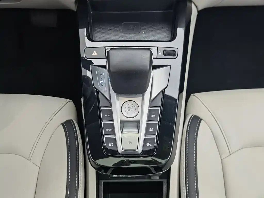 BYD Yuan Pro 2022 2021 401KM Premium Model