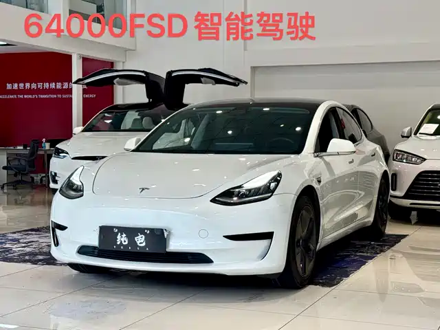 Tesla Model 3 2020 Standard Range Rear-Wheel Drive Upgrade