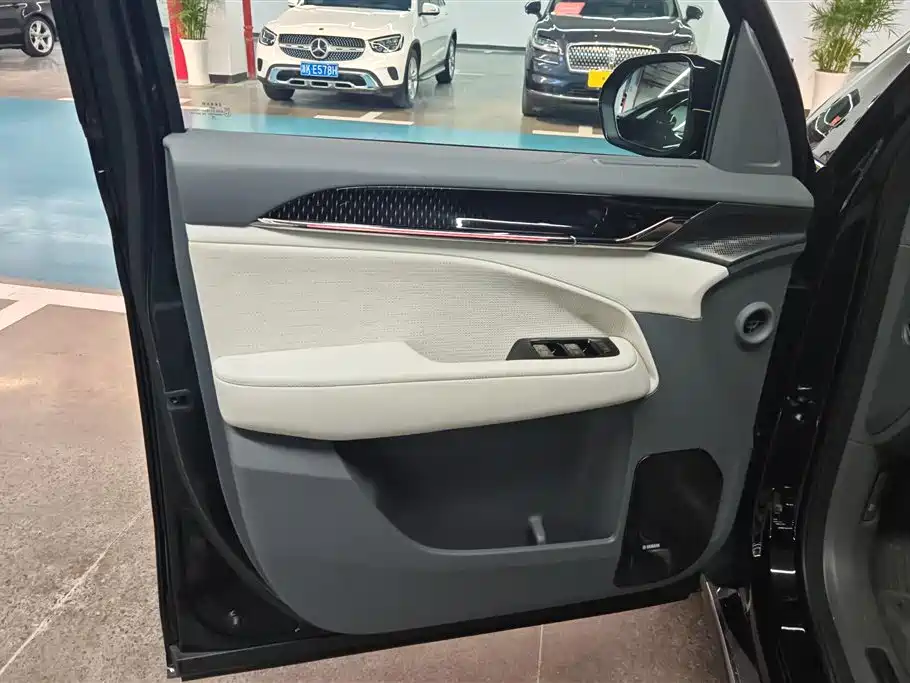 ZEEKR EXTREME KRYPTON 009