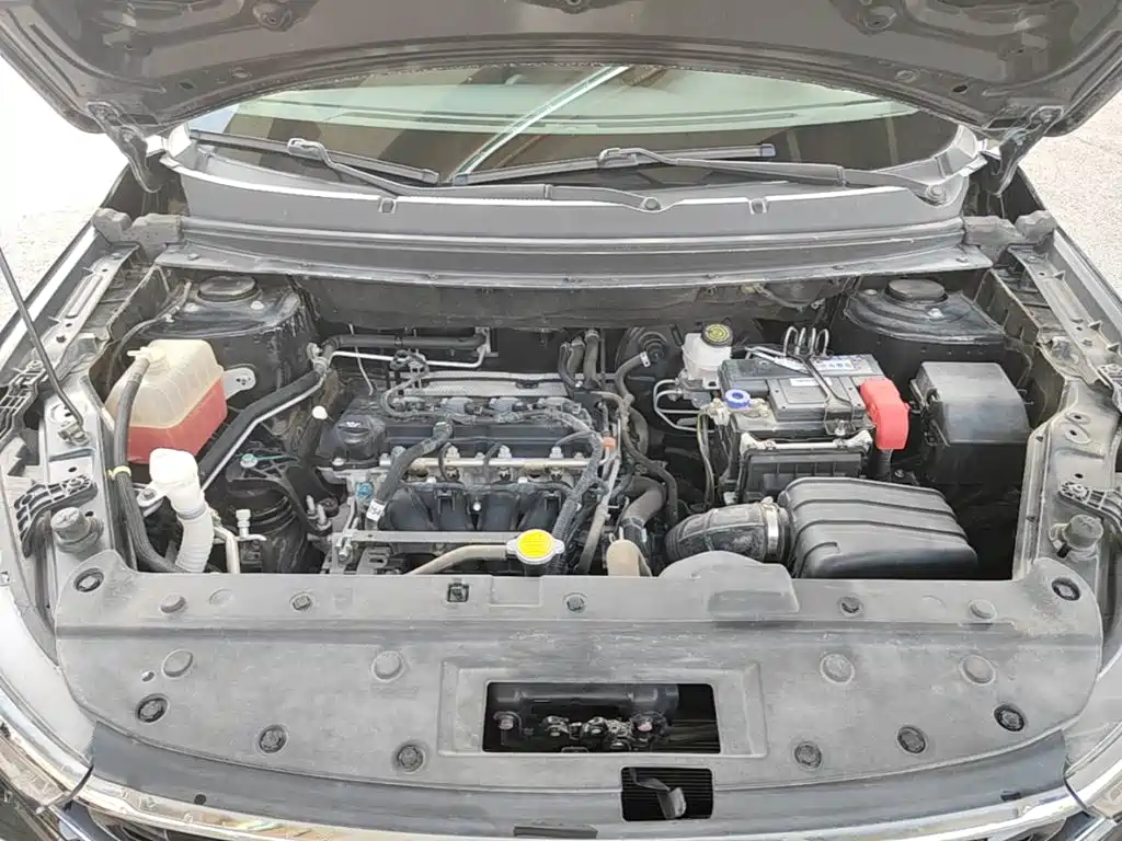 Dongfeng Fengxing Fengxing T5 2019 2021 1.6L Manual Comfort
