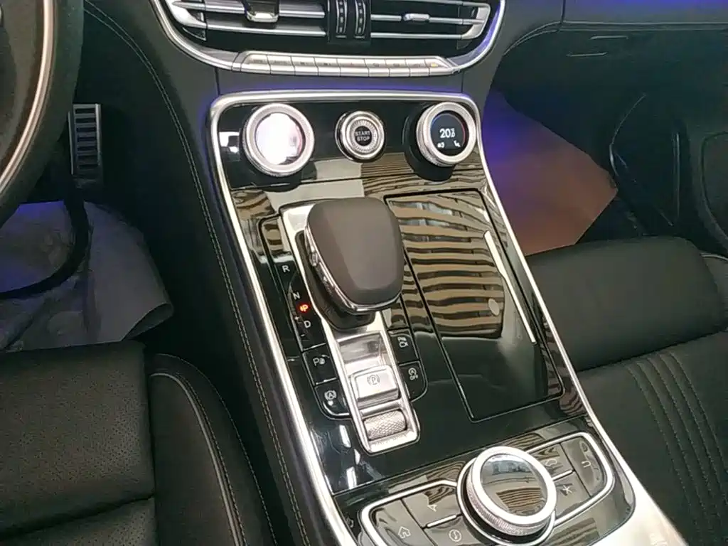 Hongqi H9 2021 2020 3.0T Smart Connect Flagship 4-Seater