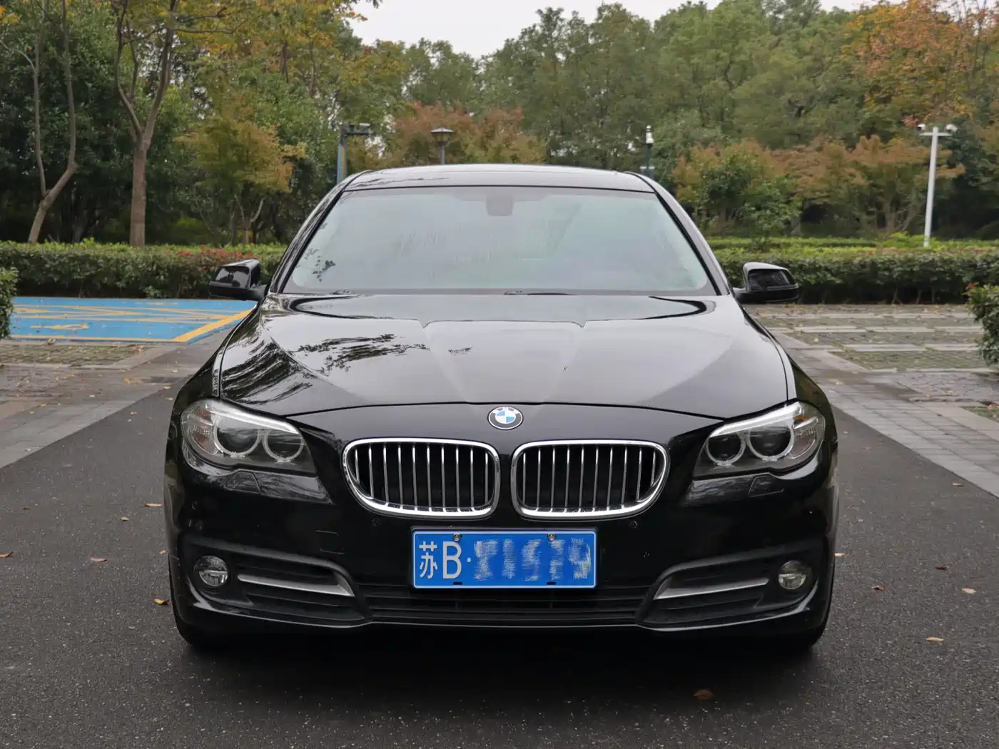 BMW 5 Series 2014 520Li Elegance фото 21