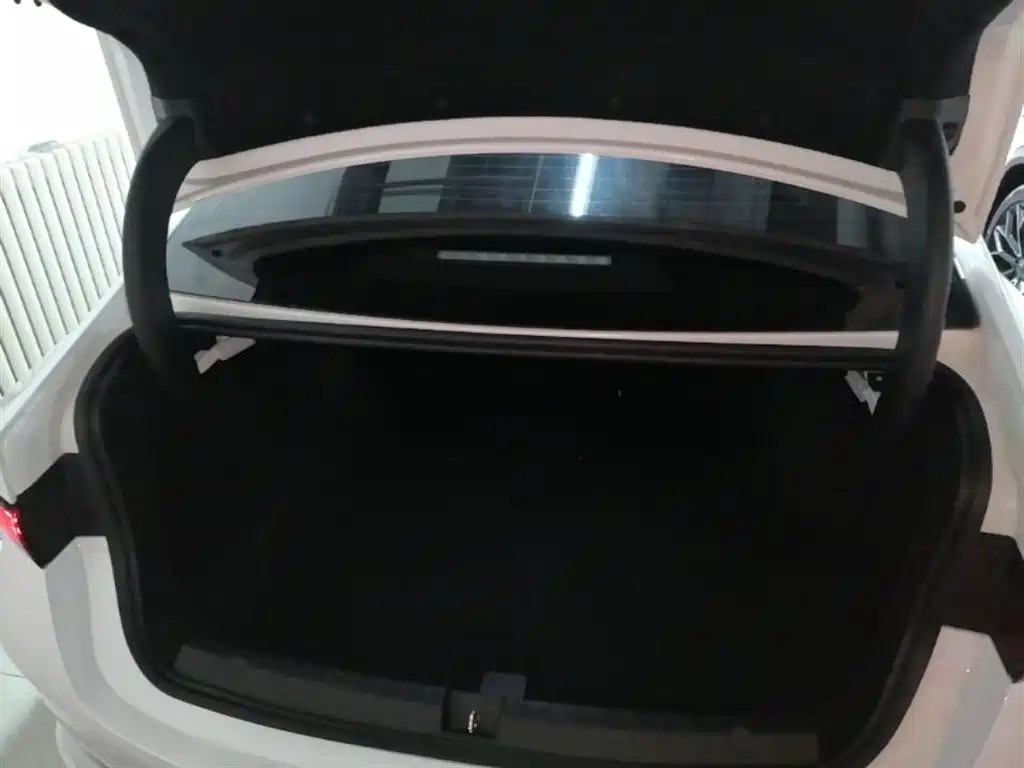 BYD Qin PLUS 2025 DM-i Smart Drive 55KM Leader фото 19