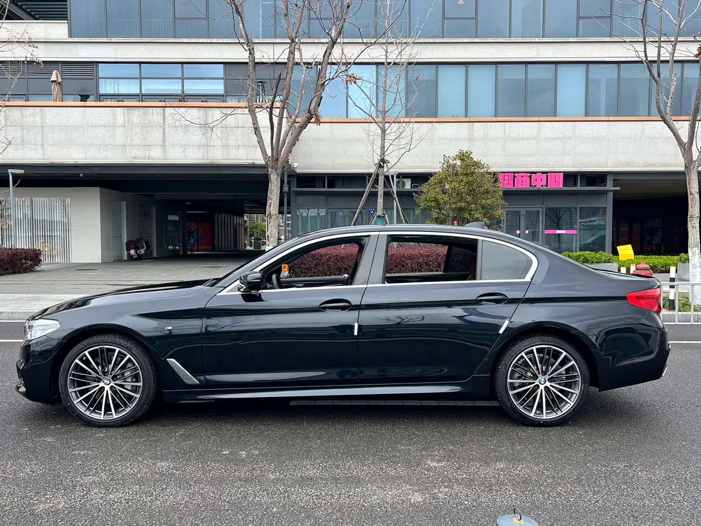 BMW 5 Series 2020 530Li Leading M Sport Package фото 13