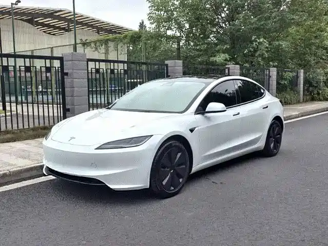 Tesla Model 3 2025 Model Rear-Wheel Drive Edition