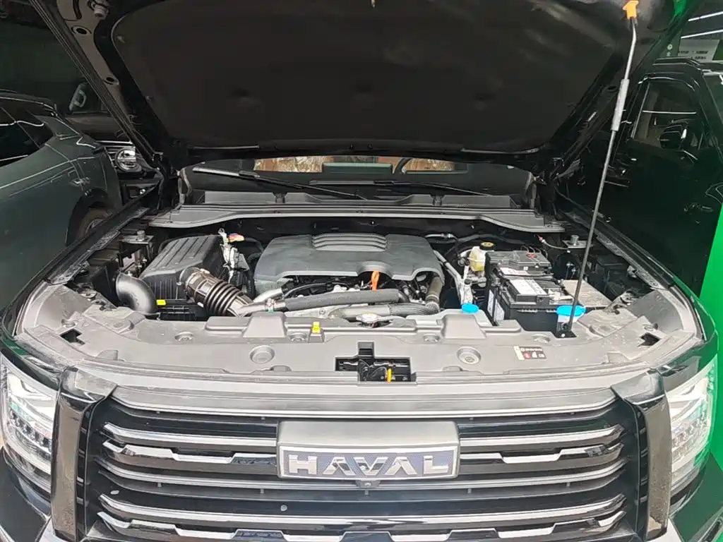 Haval H5 2025 2.0T Auto 4WD Navigation Edition (Gasoline) фото 20