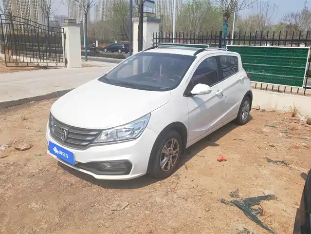 BAOJUN 310