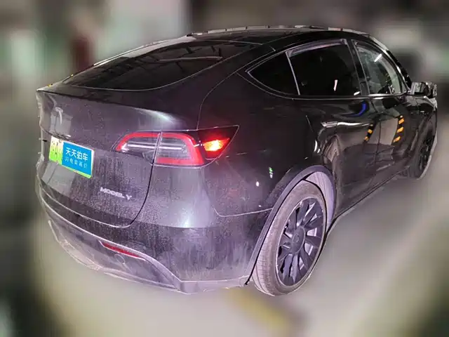 Tesla Model Y 2022 Rear-Wheel Drive Version — фото 2