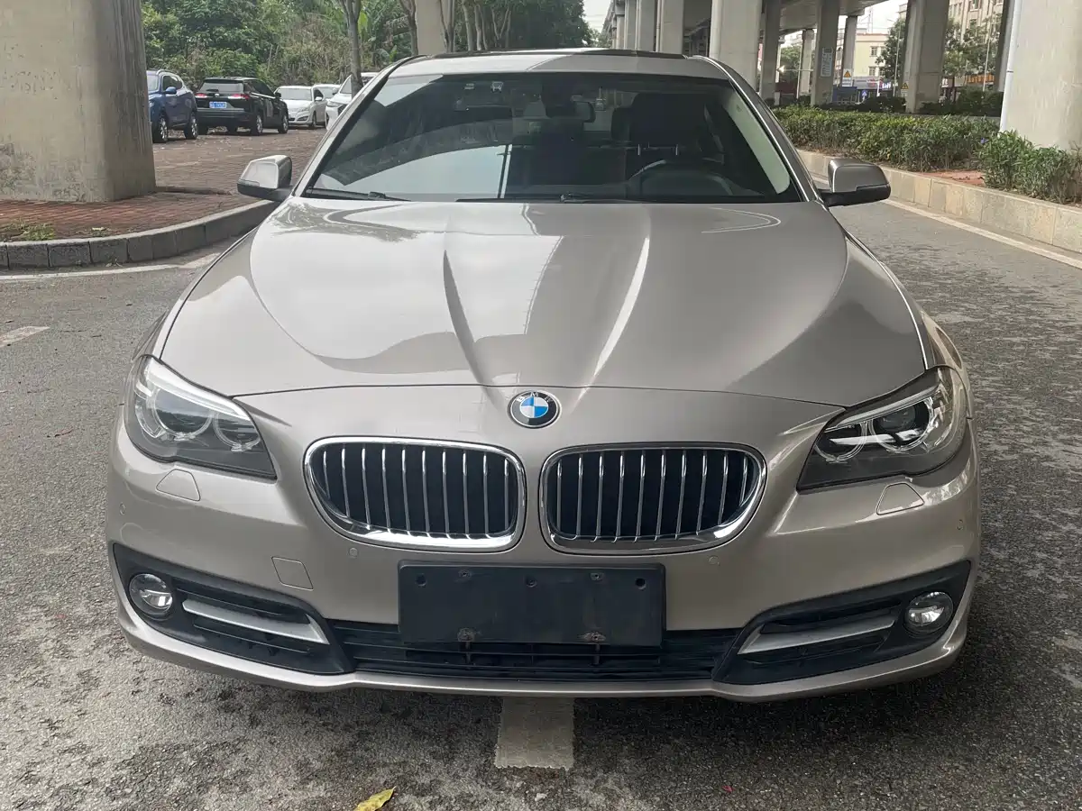 BMW 5 Series 2017 525Li Leading Edition фото 2