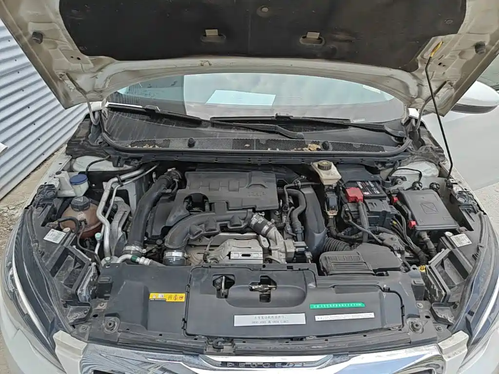 Фото 20 - Peugeot 308S
