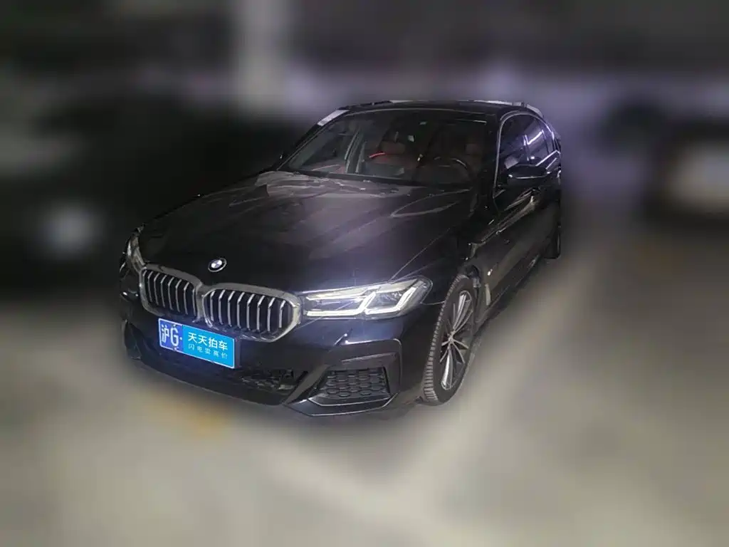 BMW 5 Series, миниатюра 13