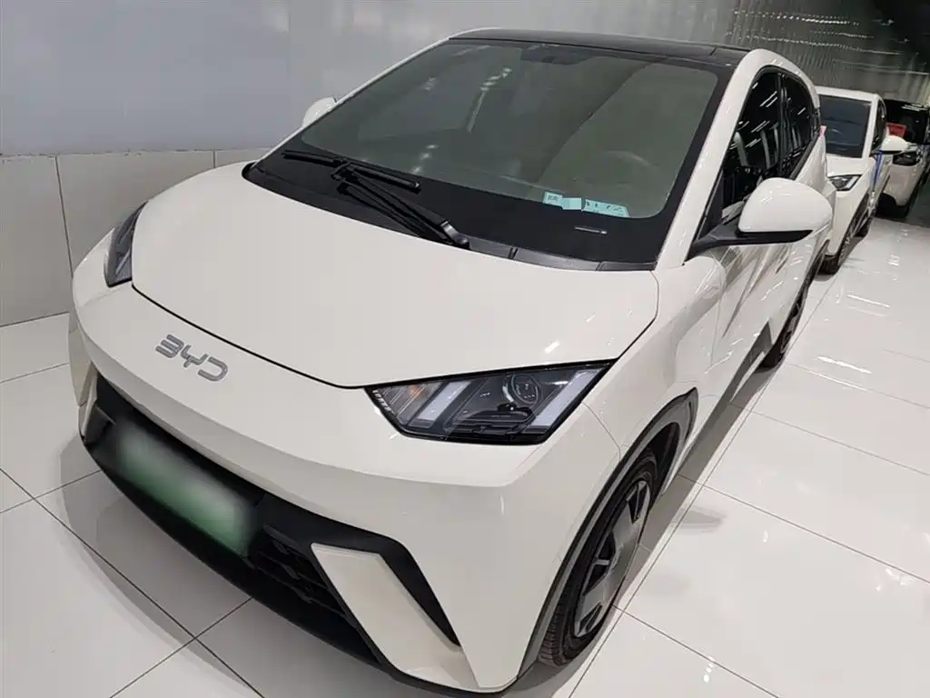 BYD Seagull 2024 Glory Edition 305km Vitality Edition