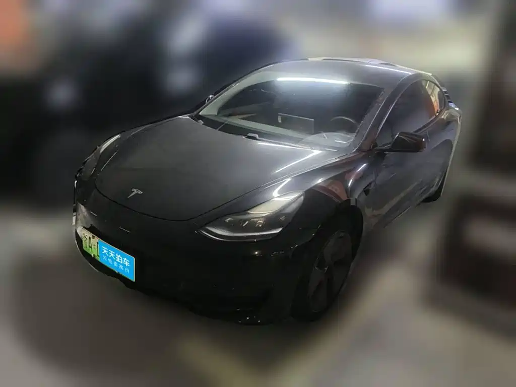 Tesla Model 3 2021