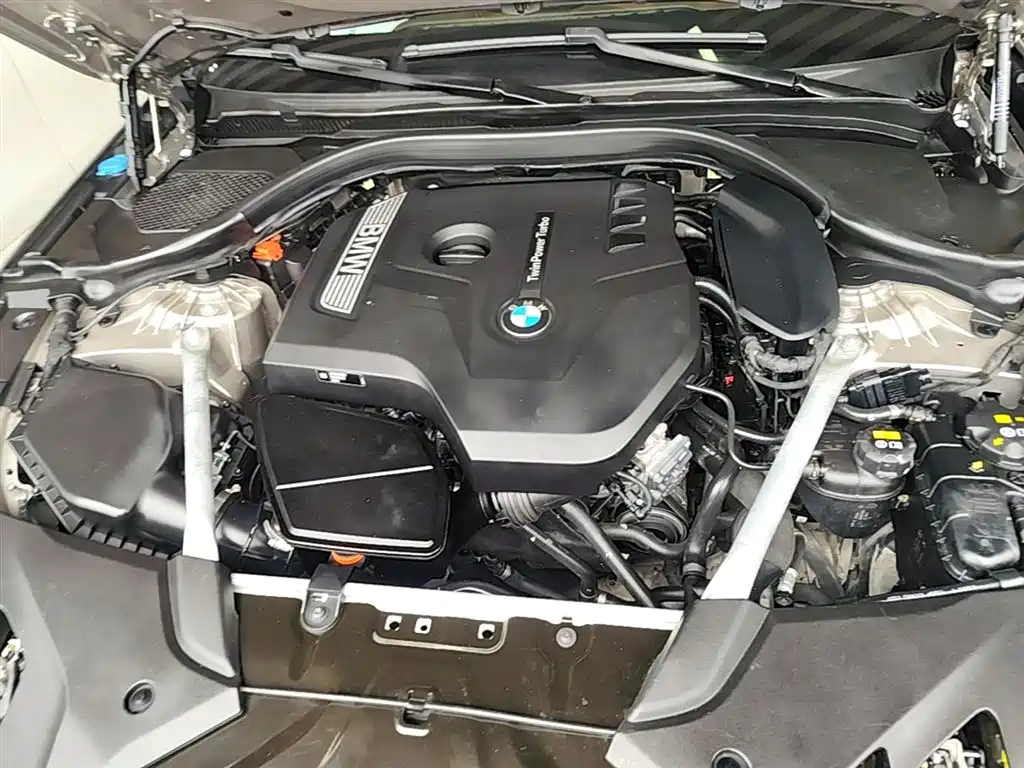 BMW 5 Series 2020 525Li Luxury Package фото 20
