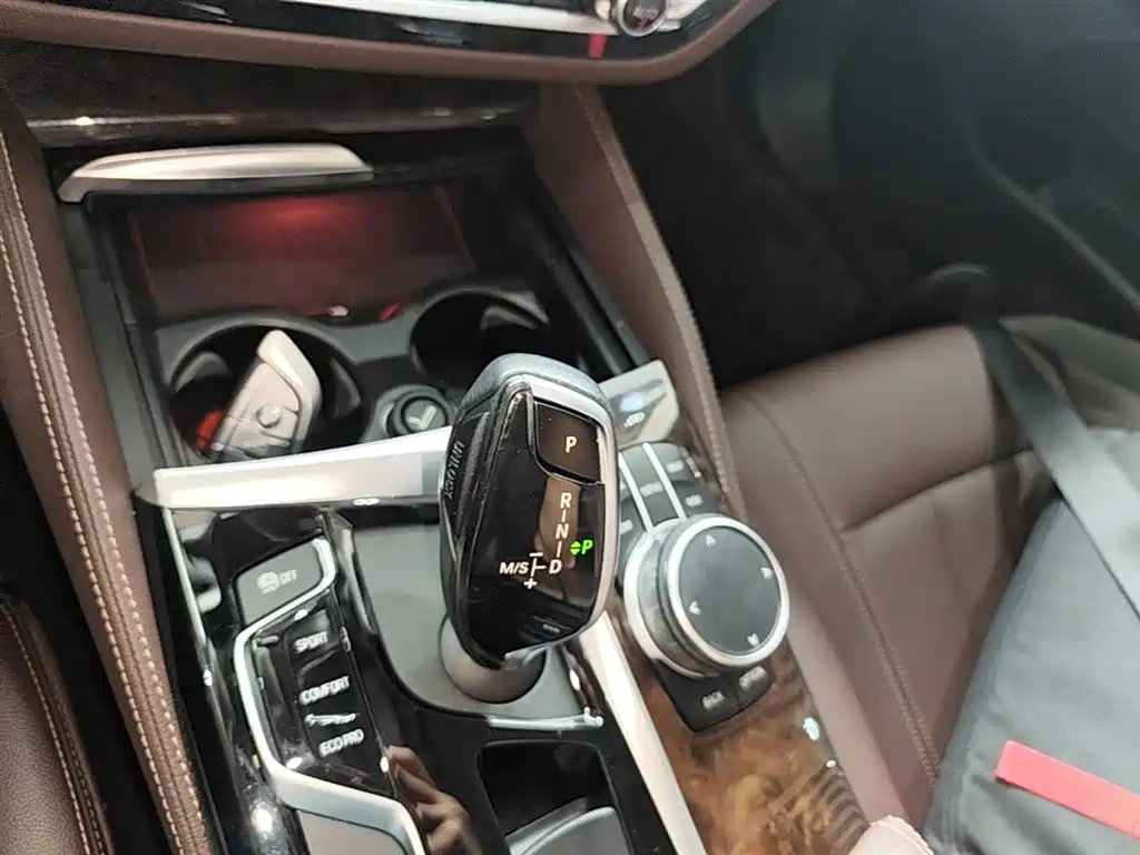 BMW 5 Series 2020 525Li Luxury Package фото 14